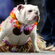 Charlie Neibergall/AP